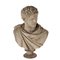 Buste de Caracalla en Terracotta de Signa Italy, 1900 1