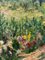 Georgij Moroz, Flowery Meadow, 2000, Oil Painting 4