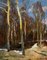 Leonid Vaichilia, Spring Sunshine in the Woods, Oil Painting, 1967, Immagine 1