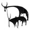 Scultura Twin Bulls verniciata nera di Bernhard Lipsøe, Immagine 1
