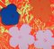 Andy Warhol, Flowers, 20th Century, Silkscreen, Image 1