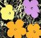 Andy Warhol, Fleurs, 20ème Siècle, Sérigraphie 1