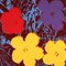 Andy Warhol, Flowers, 20th Century, Silkscreen, Image 1