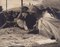 Hanna Seidel, Ecuadorian People at Market, anni '60, Immagine 2