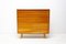 Mid-Century Dresser, Czechoslovakia, 1960s 11