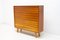 Mid-Century Dresser, Czechoslovakia, 1960s 2