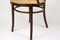 Viennese Mesh Bentwood Armchair attributed to Thonet, Austria, 1900s 15