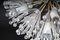 Vintage Snowball Chandelier by Emil Stejnar, 1950s, Image 7