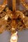 20th Century Louis XVI Five-Flamed-Light Applique, Image 6