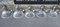 Industrial Pendant Lights in Steel & Crystal from Rossini, Italy, 2000s, Set of 5 6