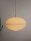 White UFO Ceiling Light by Aloys Gangkofner for Erco, 1960s 3