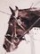 Cavallo che salta, anni '90, Olio su tela, Immagine 8