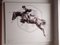 Cavallo che salta, anni '90, Olio su tela, Immagine 2