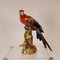 Italienischer Art Deco Ara oder Papagei aus Porzellan im Stil von Cacciapuoti für Capodimonte, Frühes 20. Jh 14