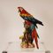 Guacamayo o loro italiano Art Déco de porcelana al estilo de Cacciapuoti para Capodimonte, principios del siglo XX, Imagen 16