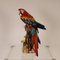 Guacamayo o loro italiano Art Déco de porcelana al estilo de Cacciapuoti para Capodimonte, principios del siglo XX, Imagen 1