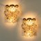 Gilt Brass with Crystal Glass Wall Lights from Kinkeldey, 1970s, Set of 2 9