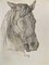 Luigi Galli, Horse's Head, Original Pencil Drawing, Late 19th Century 1