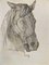 Luigi Galli, Horse's Head, Original Pencil Drawing, Late 19th Century, Image 1