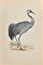 Alexander Francis Lydon, Crane, Woodcut Print, 1870 1