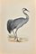 Alexander Francis Lydon, Crane, Woodcut Print, 1870, Image 1