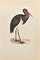 Alexander Francis Lydon, Black Stork, Woodcut Print, 1870, Image 1
