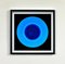 Heidler & Heeps, Vinyl Collection Installation, Color Photographs, 2017, Set of 8 4