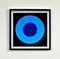 Heidler & Heeps, Vinyl Collection Installation, Color Photographs, 2017, Set of 8, Image 4