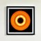 Heidler & Heeps, Vinyl Collection Installation, Color Photographs, 2017, Set of 6 7