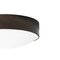 Large Svep Ceiling Lamp in Iron Oxide from Konsthantverk, Image 2