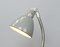 Desk Lamps by Siemens, 1930s, Image 3