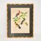 Waterlow & Sons, Illustrations Ornithologiques, 1800s, Lithographies, Encadrée, Set de 4 4