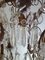 Italian Rococo Crystal Chandelier, 1940s, Image 9