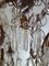 Italienischer Rokoko Kristallglas Kronleuchter, 1940er 9