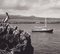 Fotografia in bianco e nero di Hanna Seidel, Galapagos, anni '60, Immagine 2