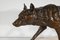 C. Valton, Wolf Walking in the Snow, finales de 1800, bronce y mármol, Imagen 5