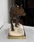 C. Valton, Wolf Walking in the Snow, finales de 1800, bronce y mármol, Imagen 11