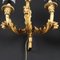 Gold Wall Sconces, Set of 2, Image 8