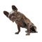 Vintage Brauner Bronze Hund 1
