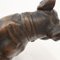 Vintage Brown Bronze Dog 6