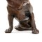 Vintage Brauner Bronze Hund 4