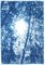 Art of Cyan, Wald Triptychon Blick durch die Bäume, Cyanotype, 2022 18