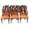 Scottish Athenian Dining Chairs, 1800s, Set of 14 1