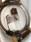 Pubblicità di un orologio da polso grande di Certina, Svizzera, Immagine 14