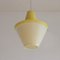 Cellulose Pendant Lamp from Atelier De Recherche Plastique & Rotaflex, 1950s, Image 4