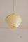 Cellulose Pendant Lamp from Atelier De Recherche Plastique & Rotaflex, 1950s 1