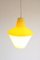 Cellulose Pendant Lamp from Atelier De Recherche Plastique & Rotaflex, 1950s 16