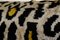 Velvet and Silk Leopard Ikat Bedding Cushion Cover, 2010s 4