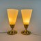 Table or Bedside Lamps attributed to Kamenicky Senov, Czechoslovakia, 1960s, Set of 2 3