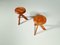 Elmwood S31 Stools by Pierre Chapo, 1980s, Set of 2, Image 4